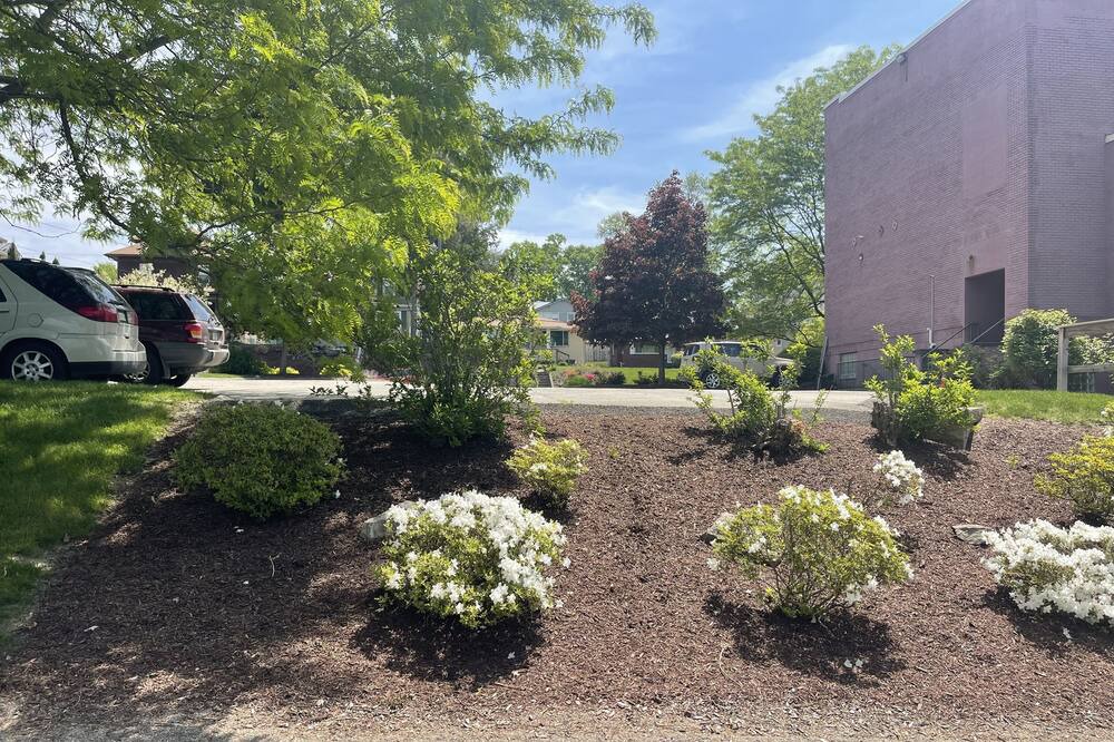 Photo of Outdoor in New Kensington