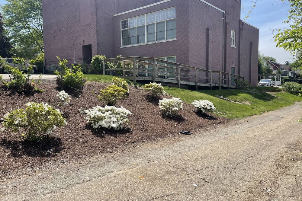 Photo of Outdoor in New Kensington