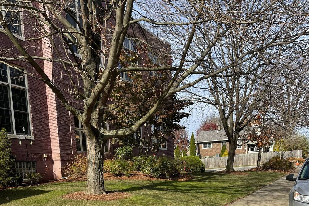 Photo of Others in New Kensington