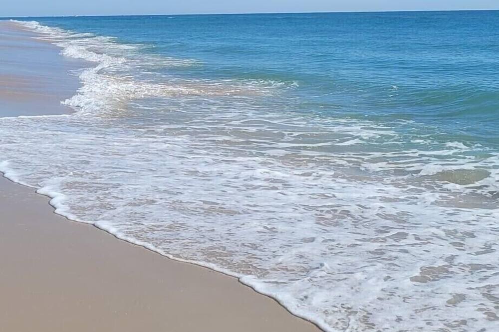 Photo of Others in Beach Haven Terrace