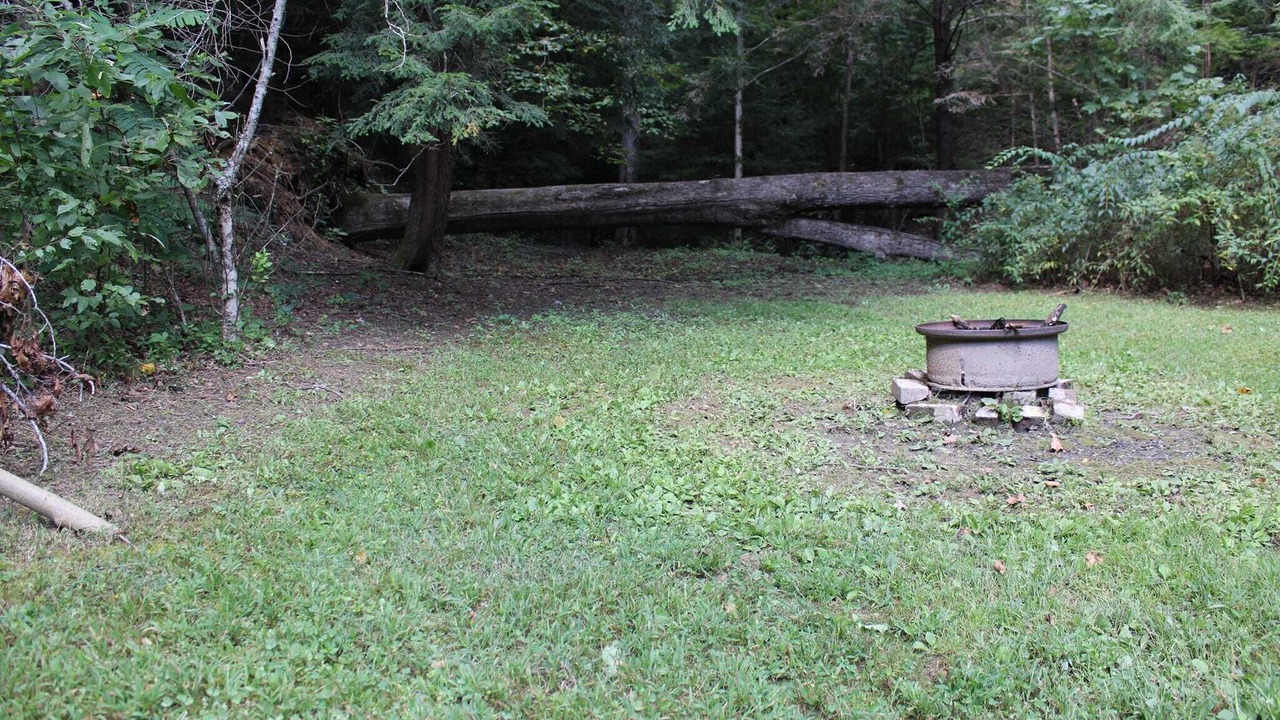 Photo of Outdoor in South Bloomingville