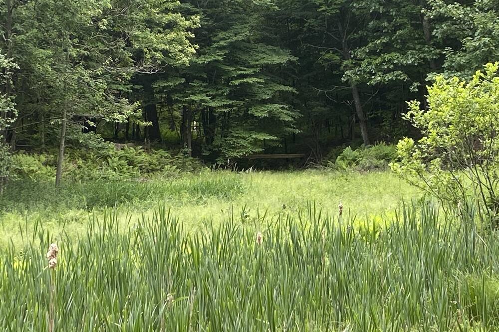 Photo of Others in Mount Hope