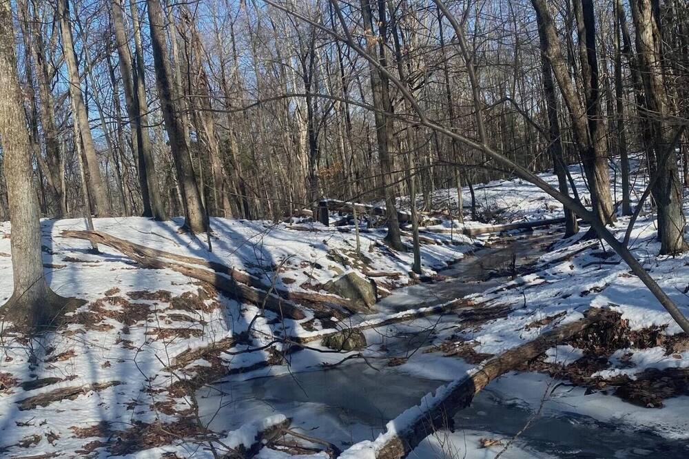 Photo of Others in Mount Hope