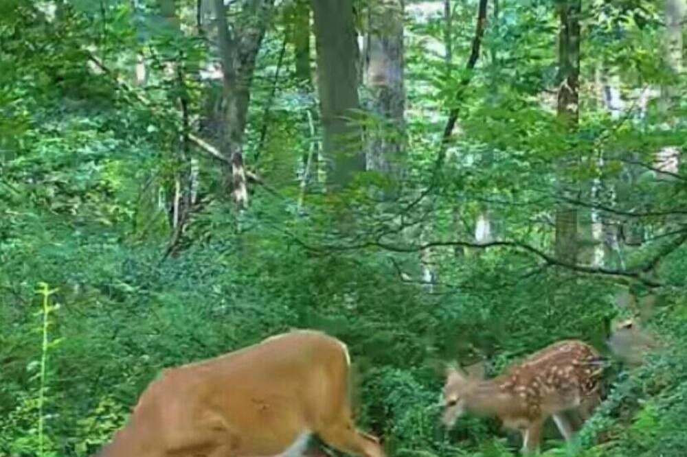 Photo of Others in Mount Hope