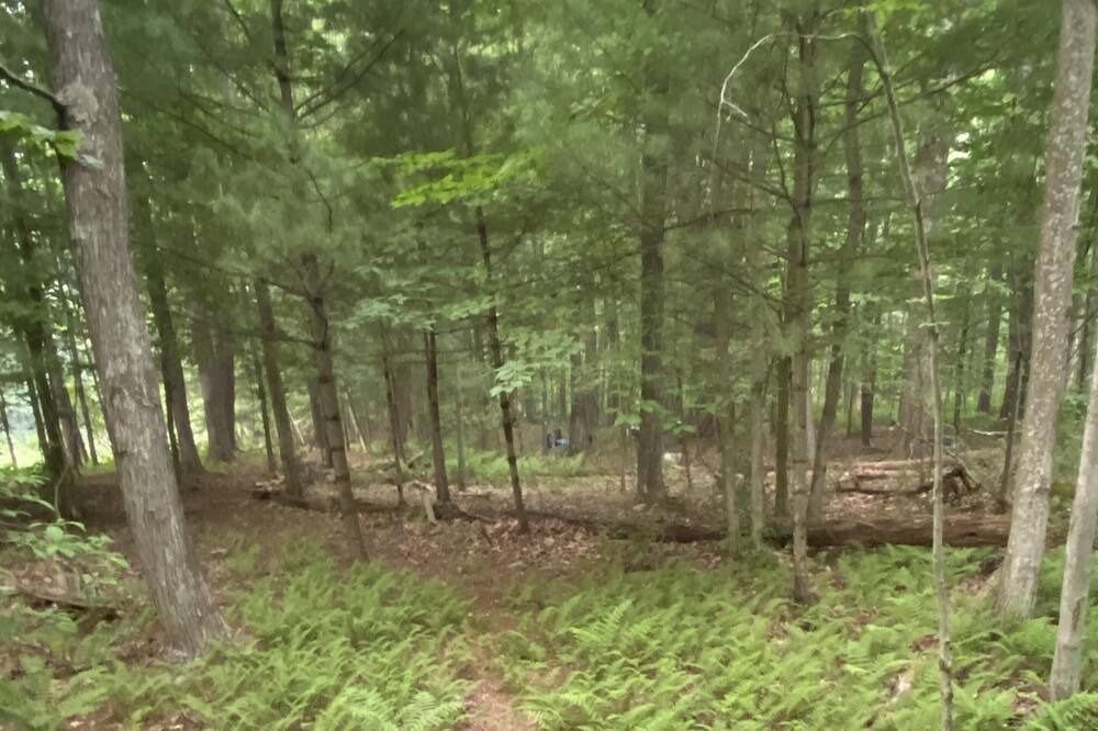 Photo of Others in Mount Hope