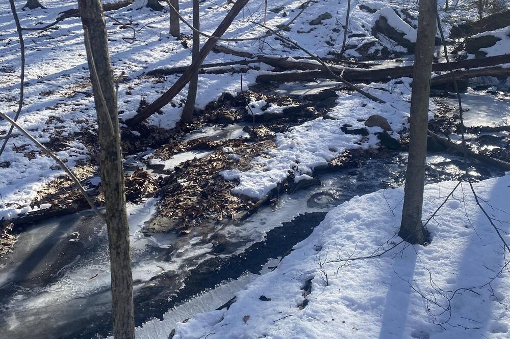 Photo of Others in Mount Hope