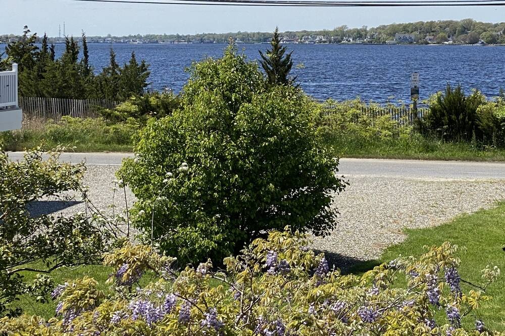Photo of Others in Bayville