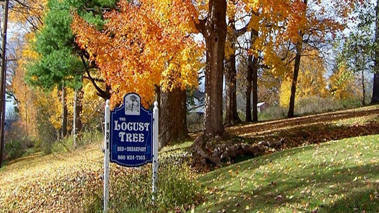 Photo of Buildings in North Canaan