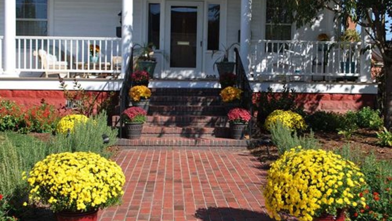 Photo of Outdoor in Cape Charles