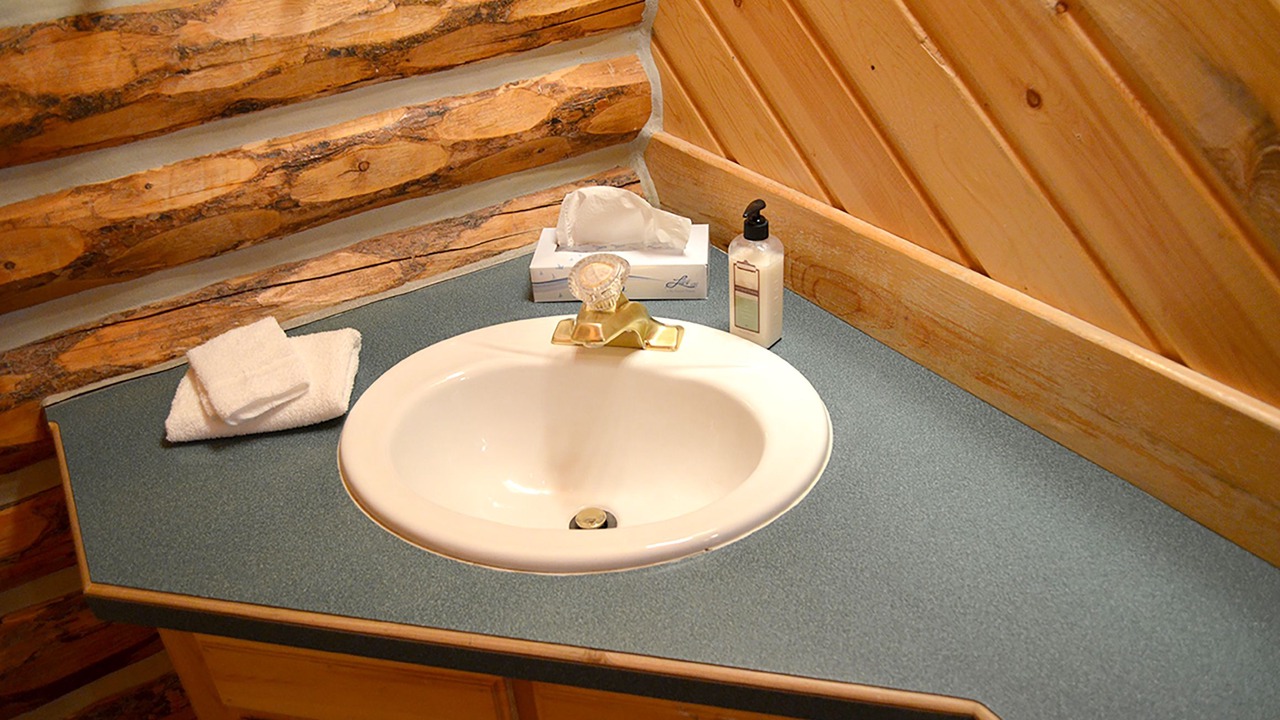 Photo of Bathroom in Island Park