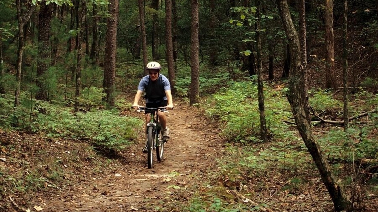 Photo of Outdoor in Tanglewood