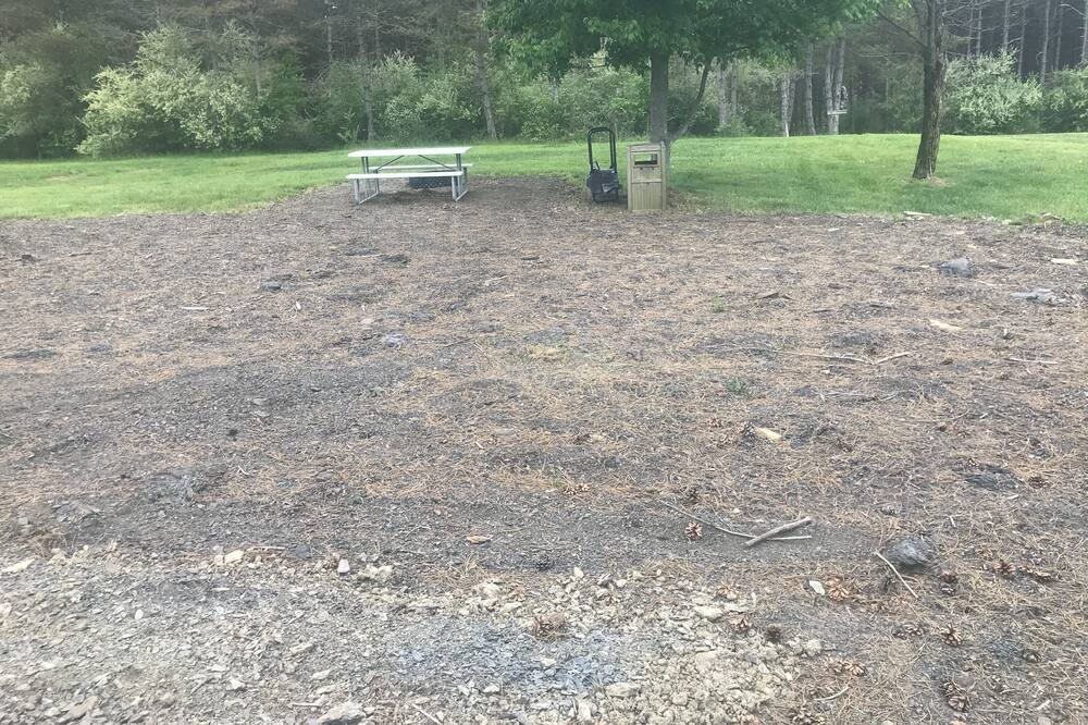 Photo of Outdoor in Benezette