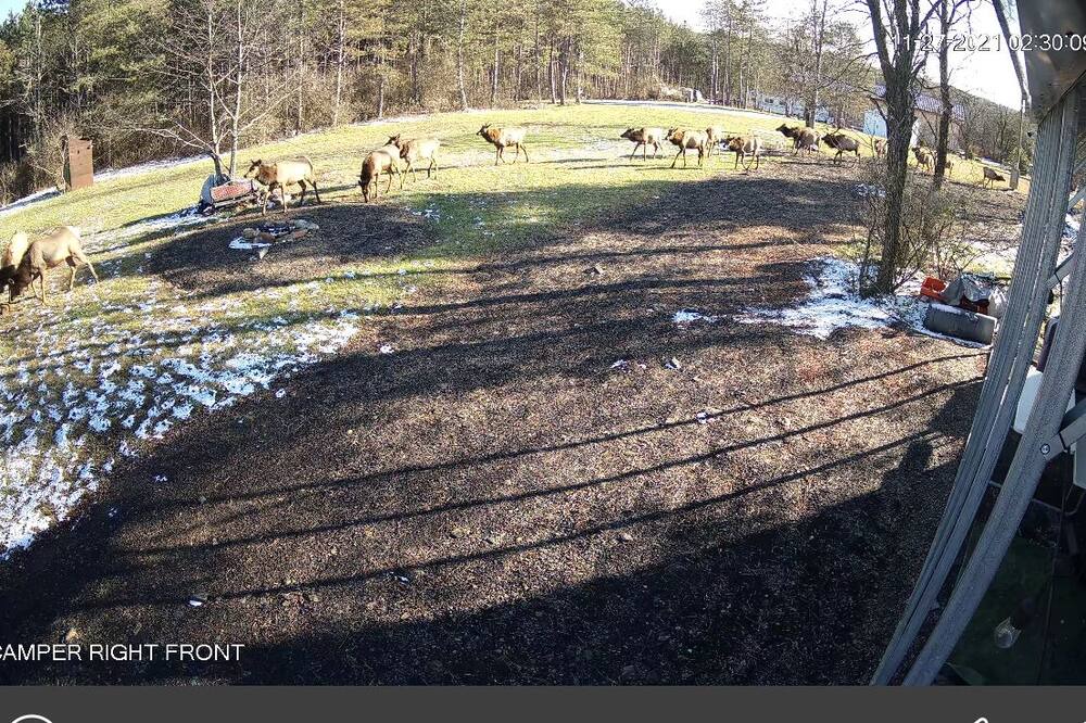 Photo of Others in Benezette