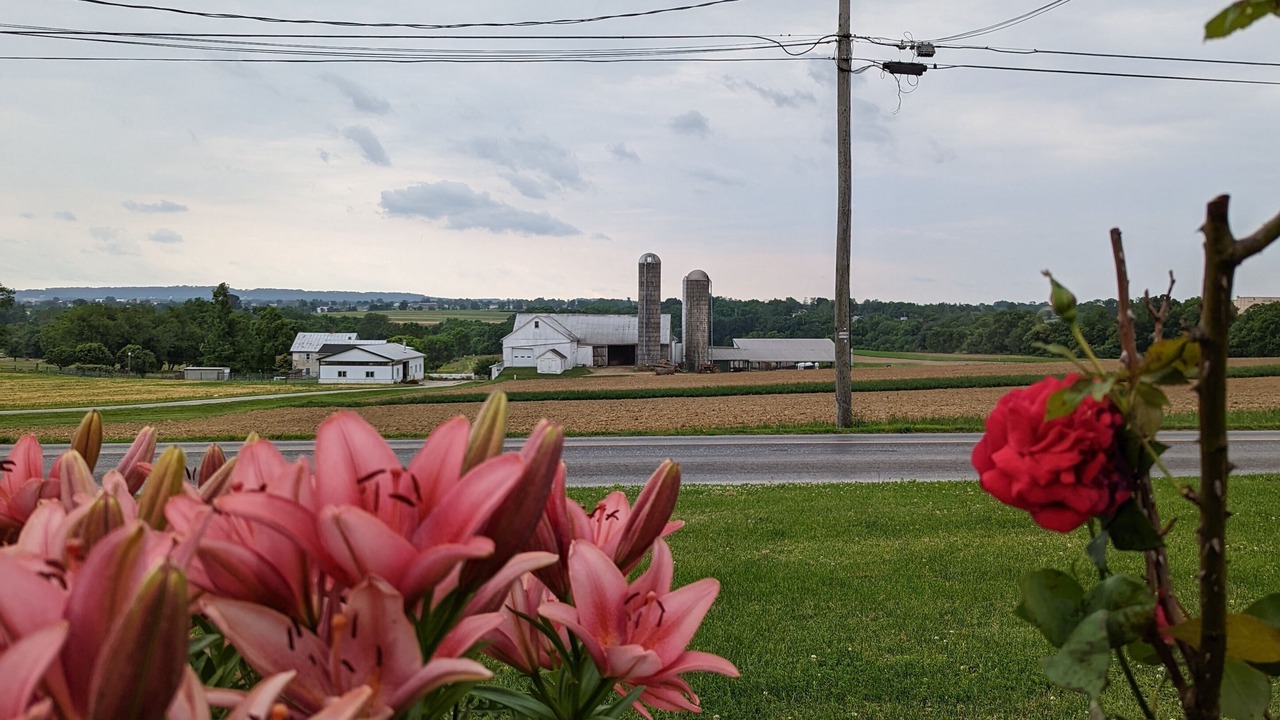 Photo of Outdoor in Ronks