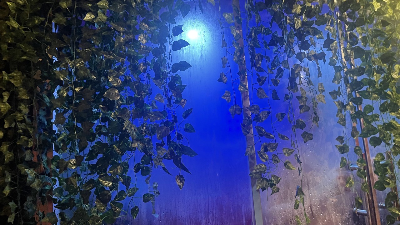 Photo of Outdoor in Mount Vernon