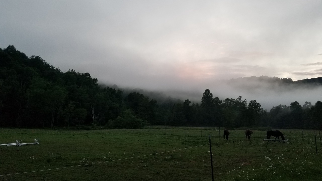 Photo of Outdoor in Helvetia