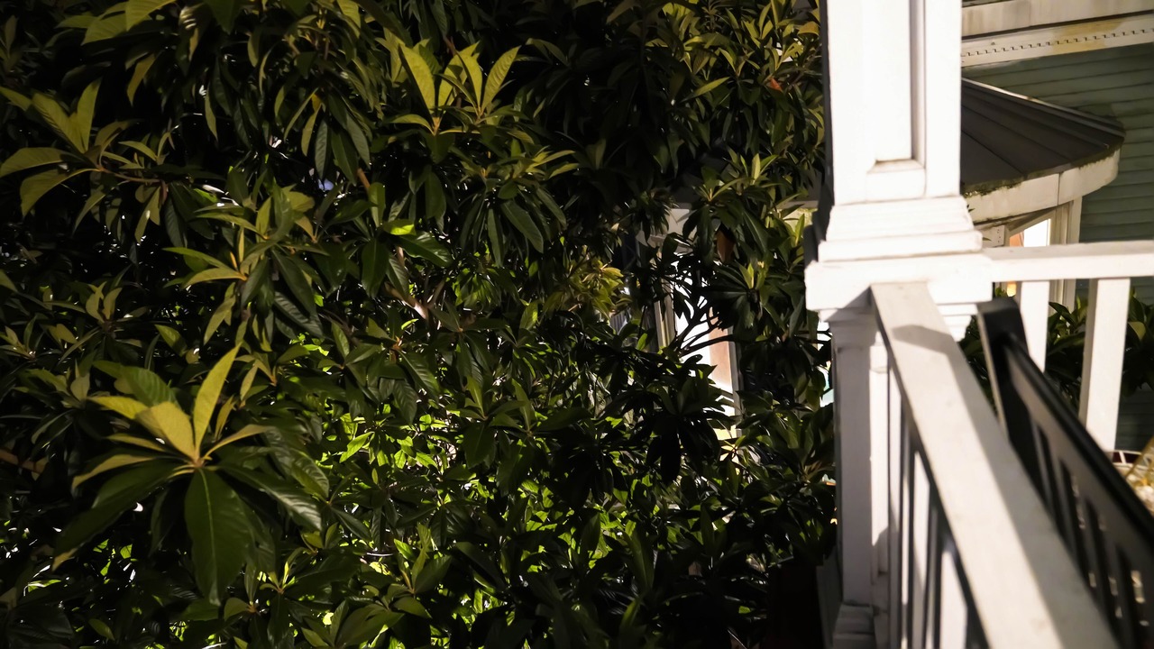 Photo of Bathroom in Metropolitan