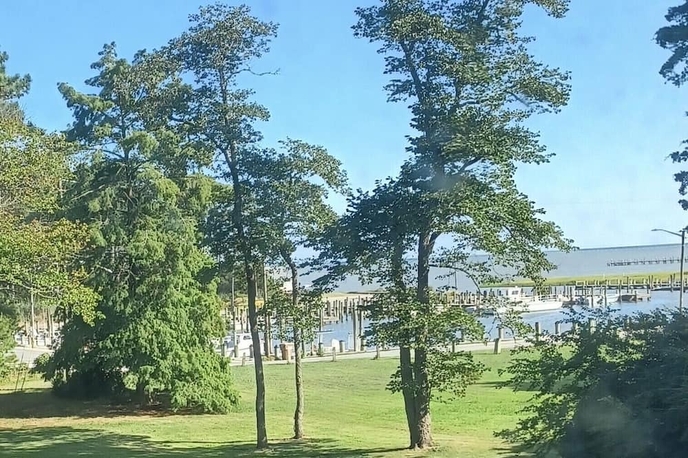 Photo of Outdoor in Quinby
