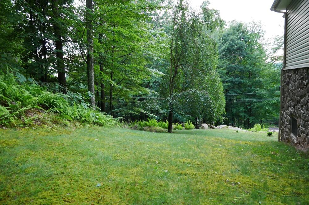 Photo of Outdoor in Sybertsville