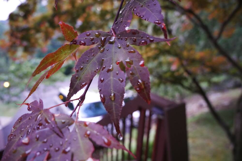 Photo of Outdoor in Sybertsville