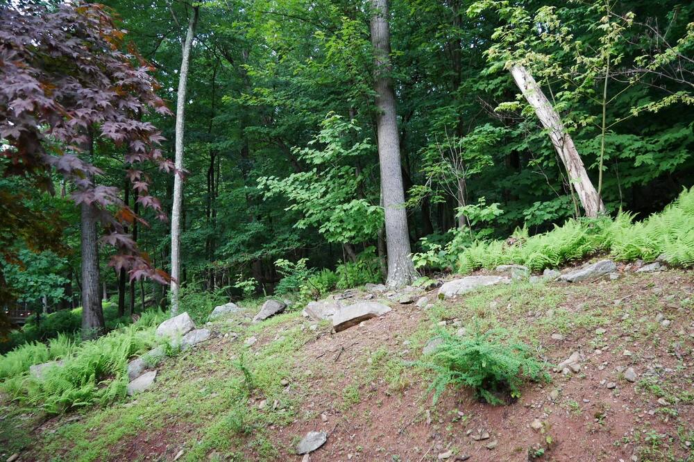 Photo of Others in Sybertsville