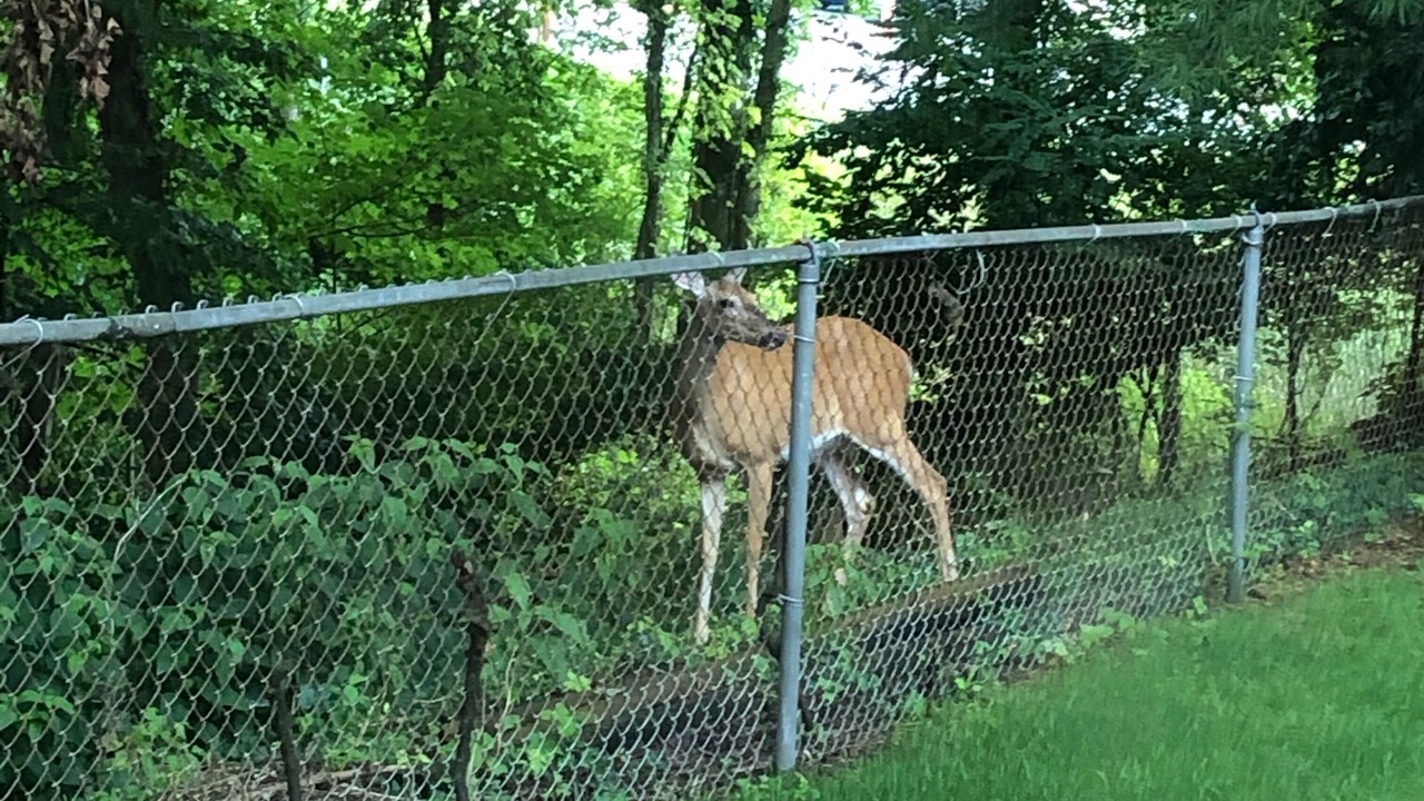 Photo of Outdoor in Portsmouth