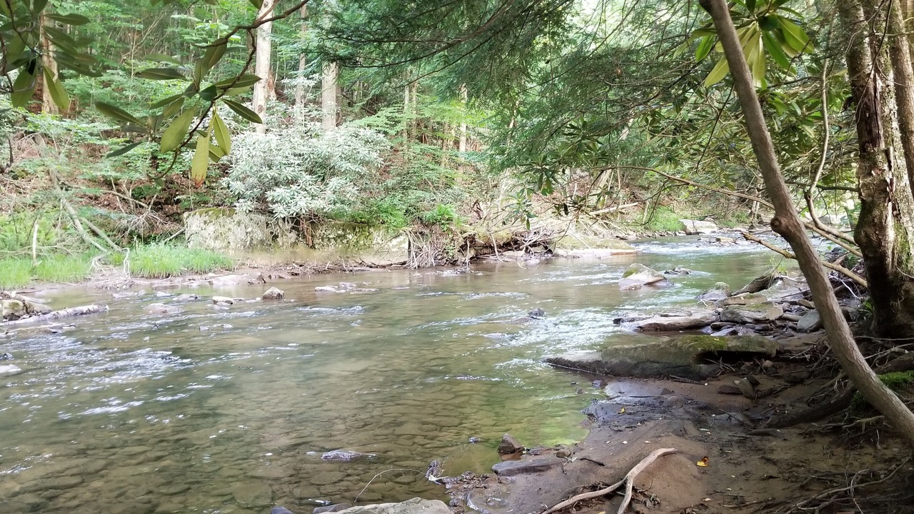 Photo of Outdoor in Helvetia