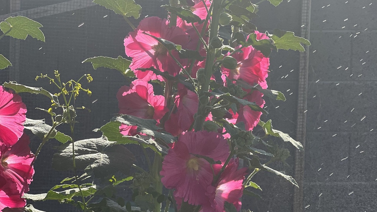 Photo of Outdoor in Story