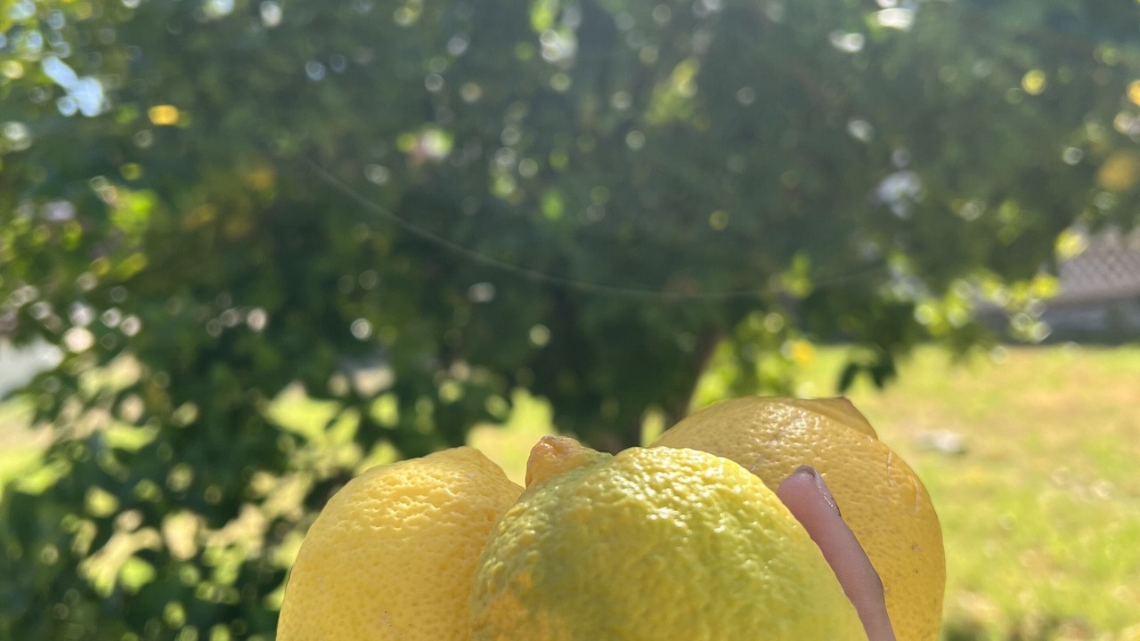 Photo of Outdoor in Story
