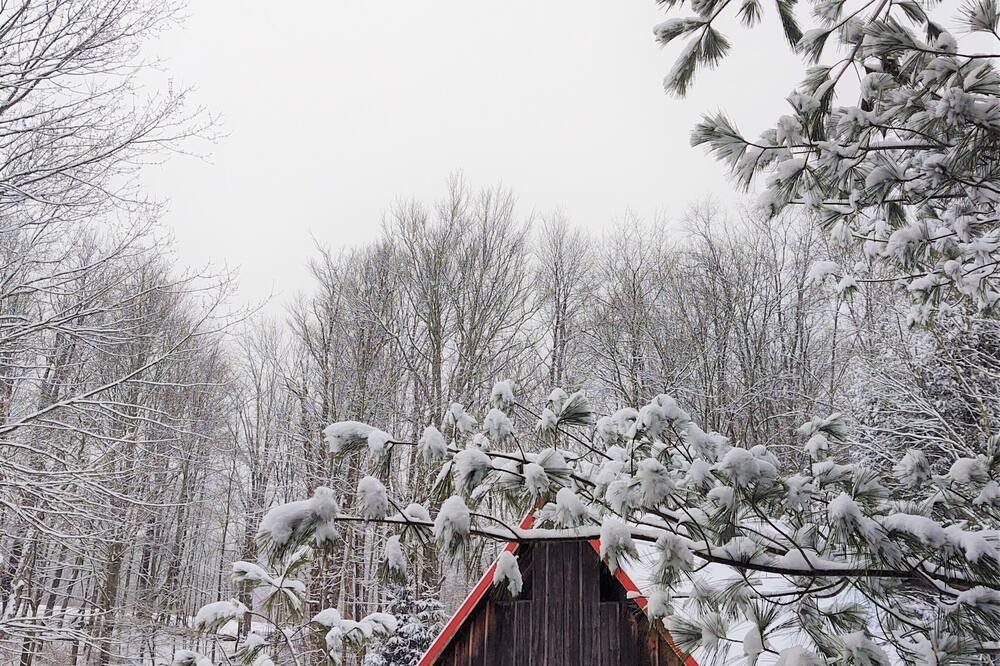 Photo of Outdoor in Aldenville