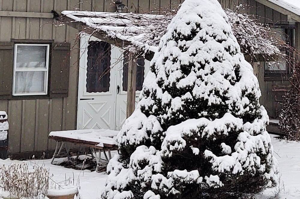 Photo of Others in Aldenville
