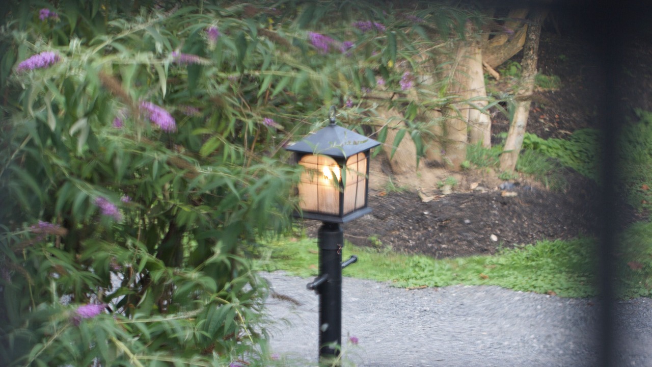Photo of Outdoor in Lambertville