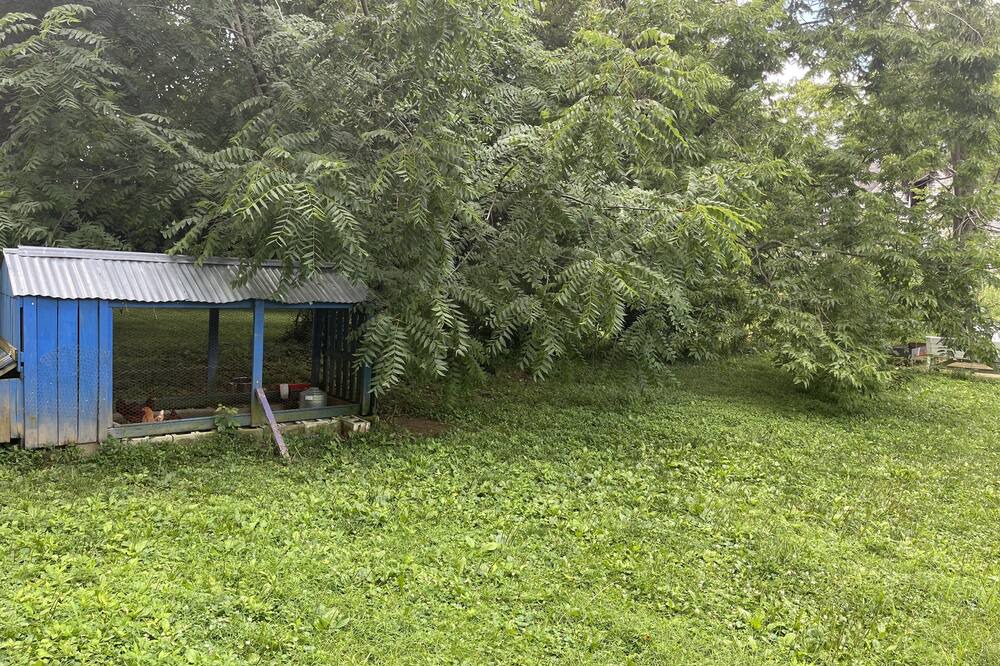 Photo of Outdoor in Winchester