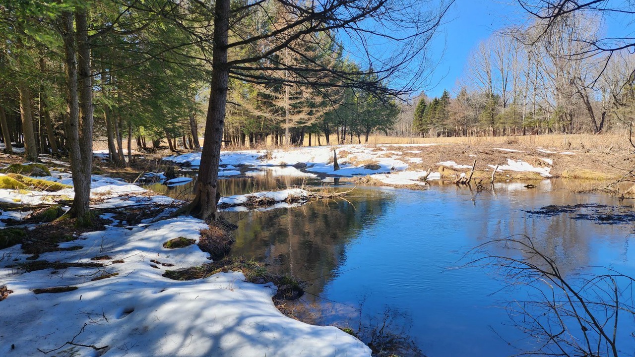 Photo of Outdoor in Orson