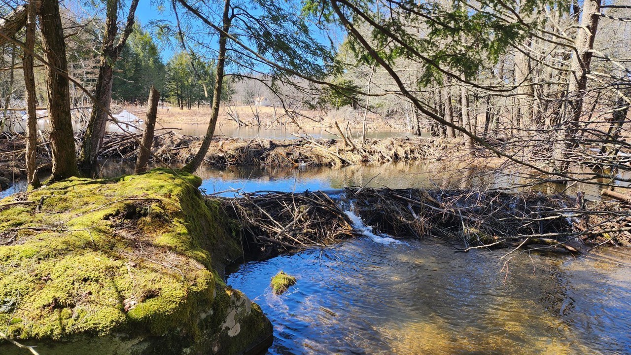 Photo of Outdoor in Orson