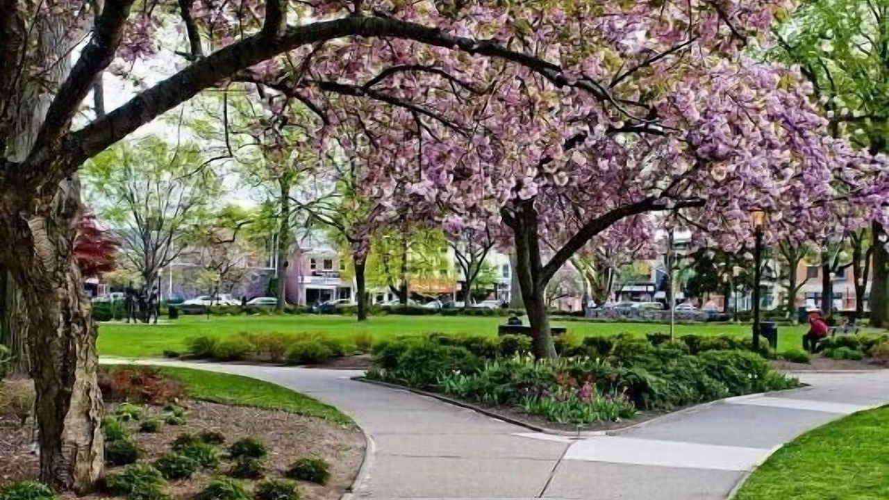 Photo of Outdoor in Morristown
