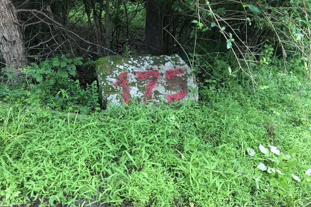 Photo of Others in Pond Eddy