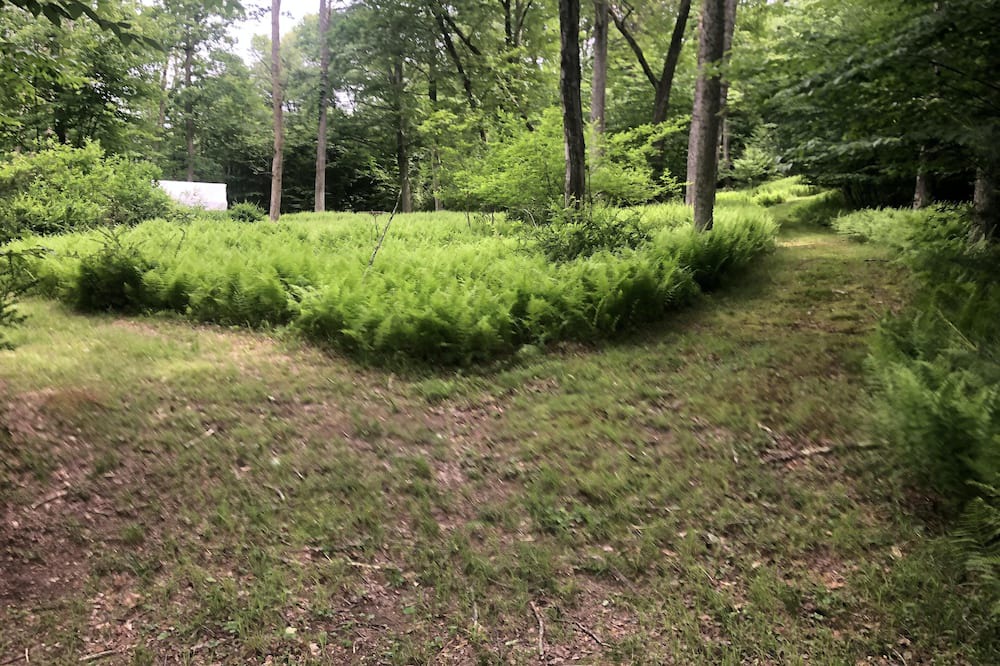 Photo of Others in Pond Eddy