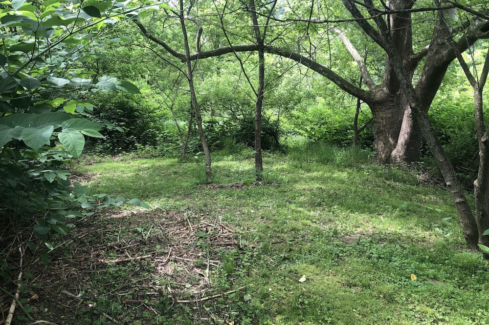 Photo of Others in Pond Eddy