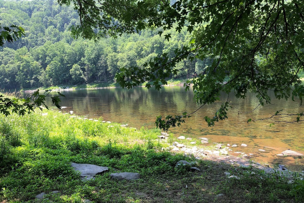 Photo of Others in Pond Eddy