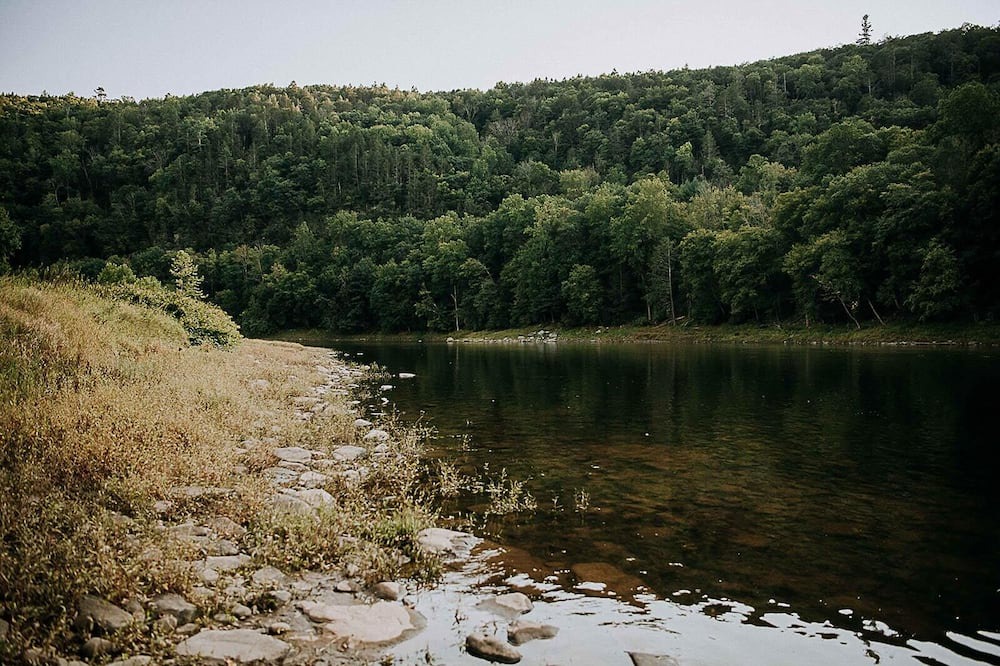Photo of Others in Pond Eddy