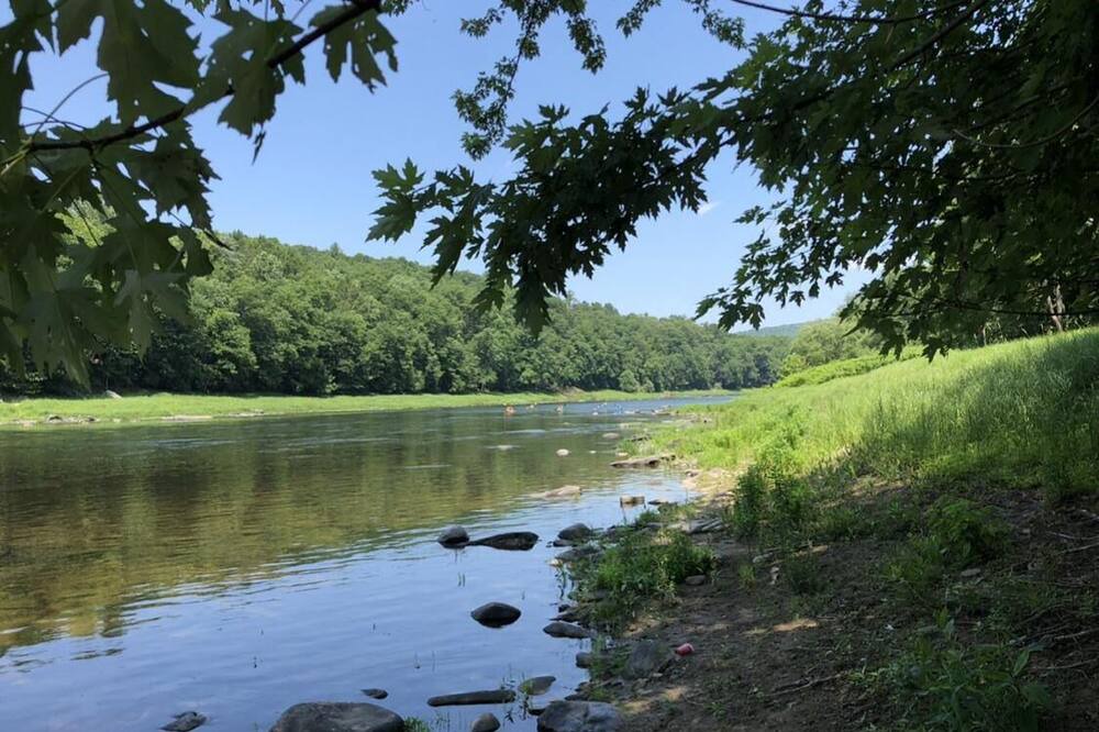 Photo of Others in Pond Eddy