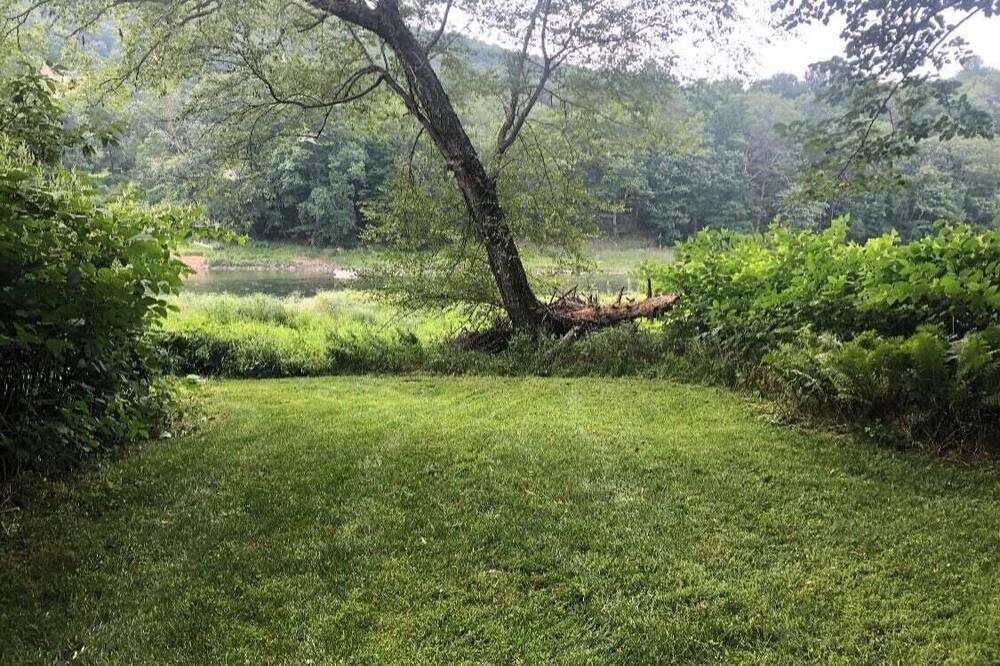 Photo of Others in Pond Eddy