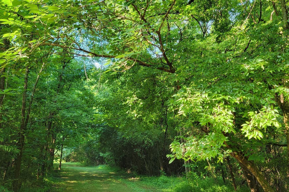 Photo of Outdoor in Saint Stephens Church