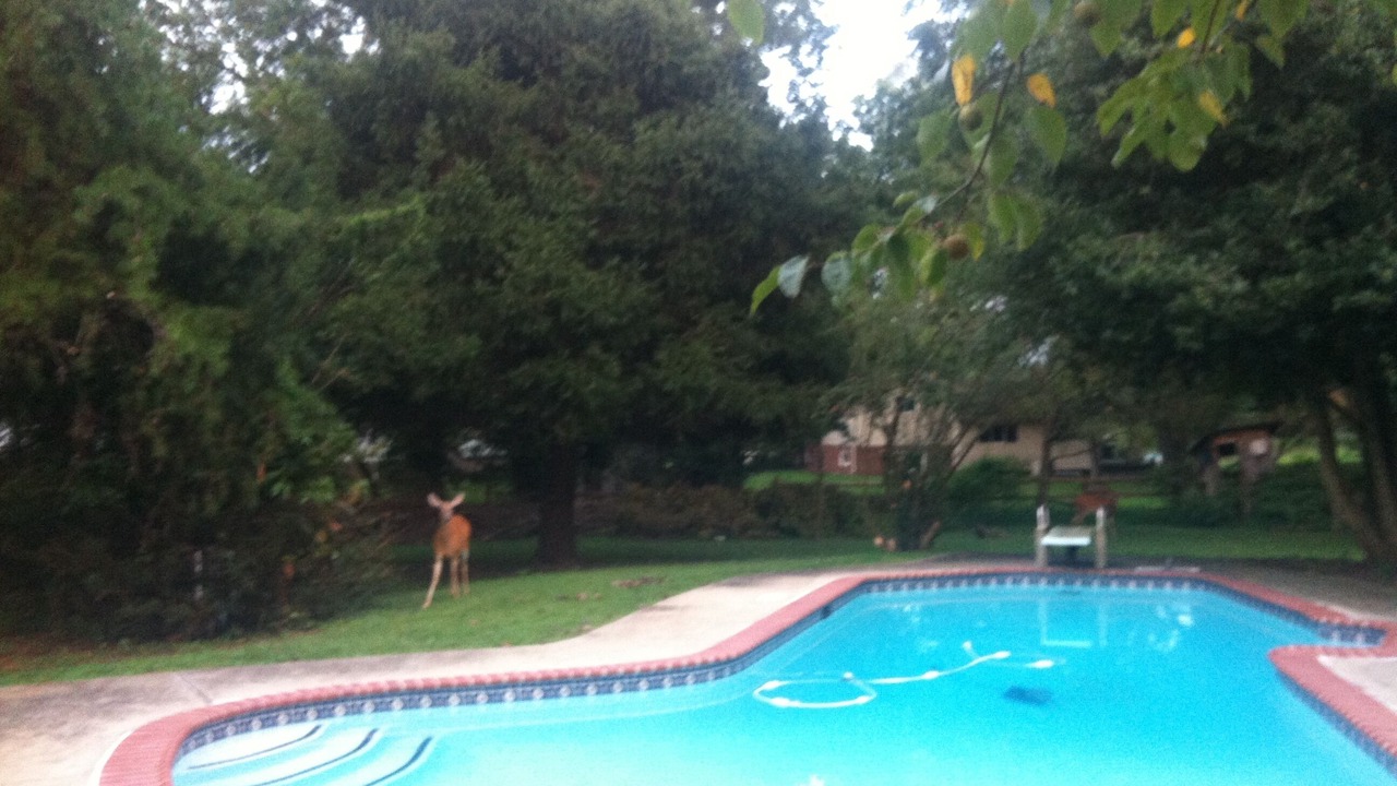 Photo of Outdoor in Cloverly