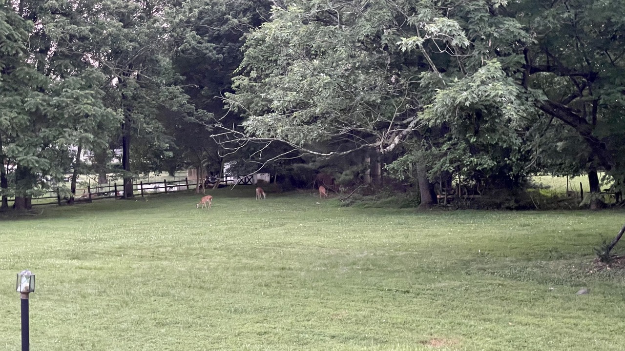 Photo of Others in Cloverly