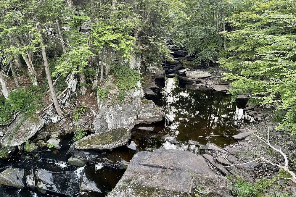 Photo of Others in Ellenville