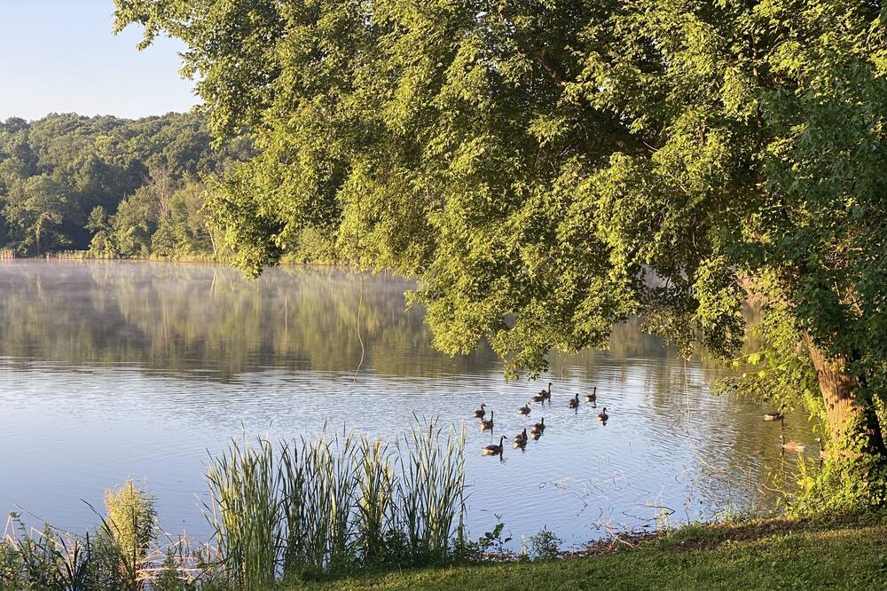 Photo of Others in Hillside Lake