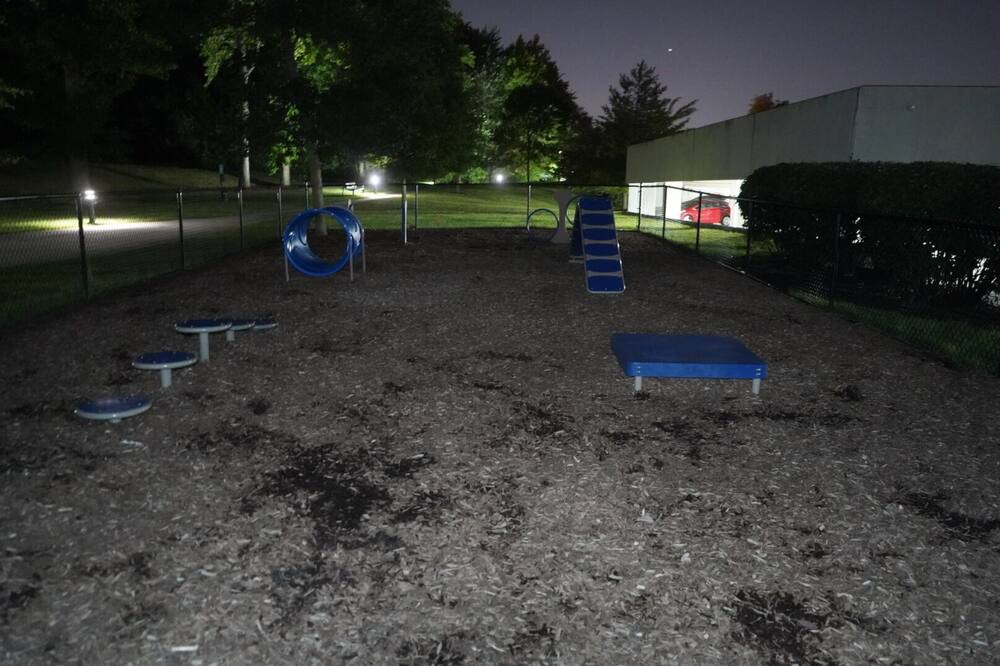 Photo of Others in Cherry Hill