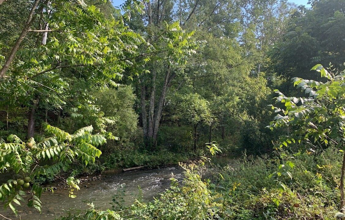 Photo of Outdoor in Bluewell